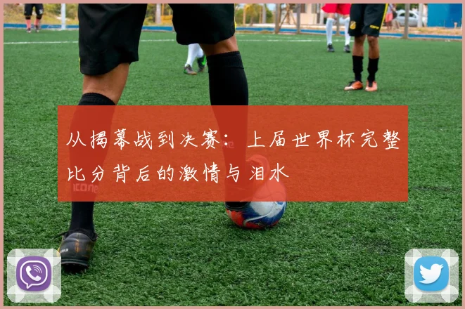 从揭幕战到决赛：上届世界杯完整比分背后的激情与泪水